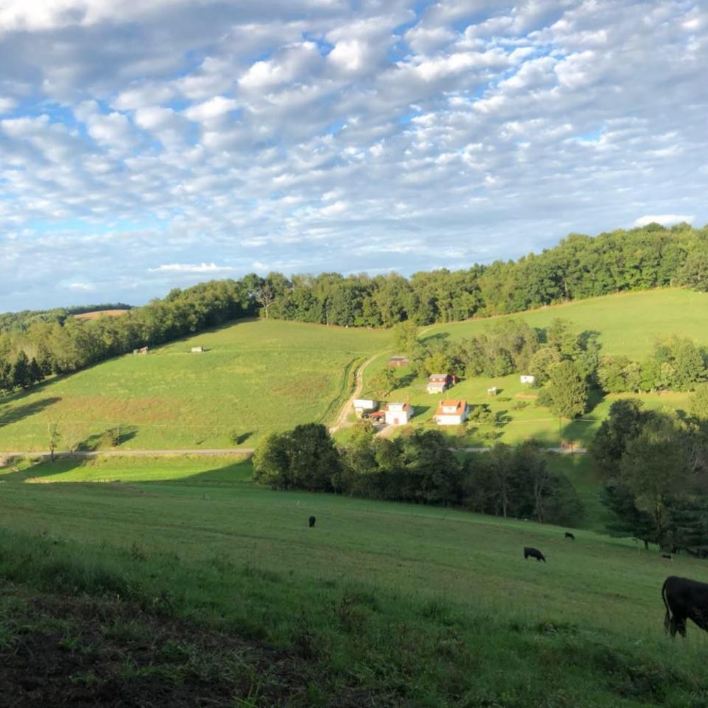 Meet your Posher, Bridgette